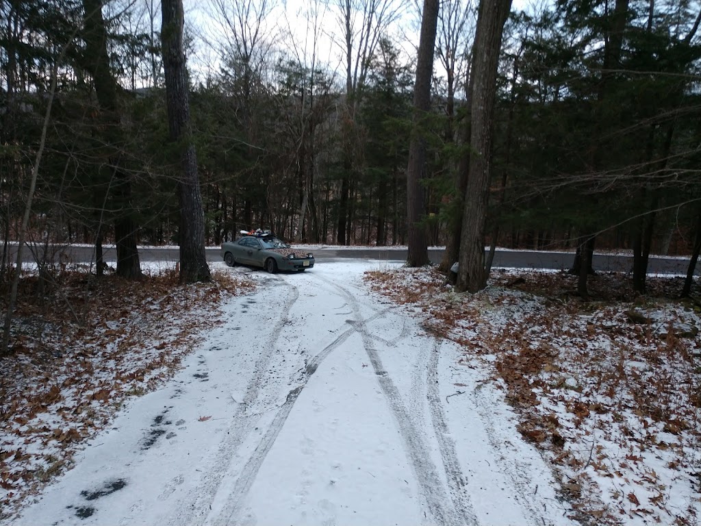 Franklinton Vlaie Wildlife Management Area | Middleburgh, NY 12122, USA | Phone: (607) 652-2302