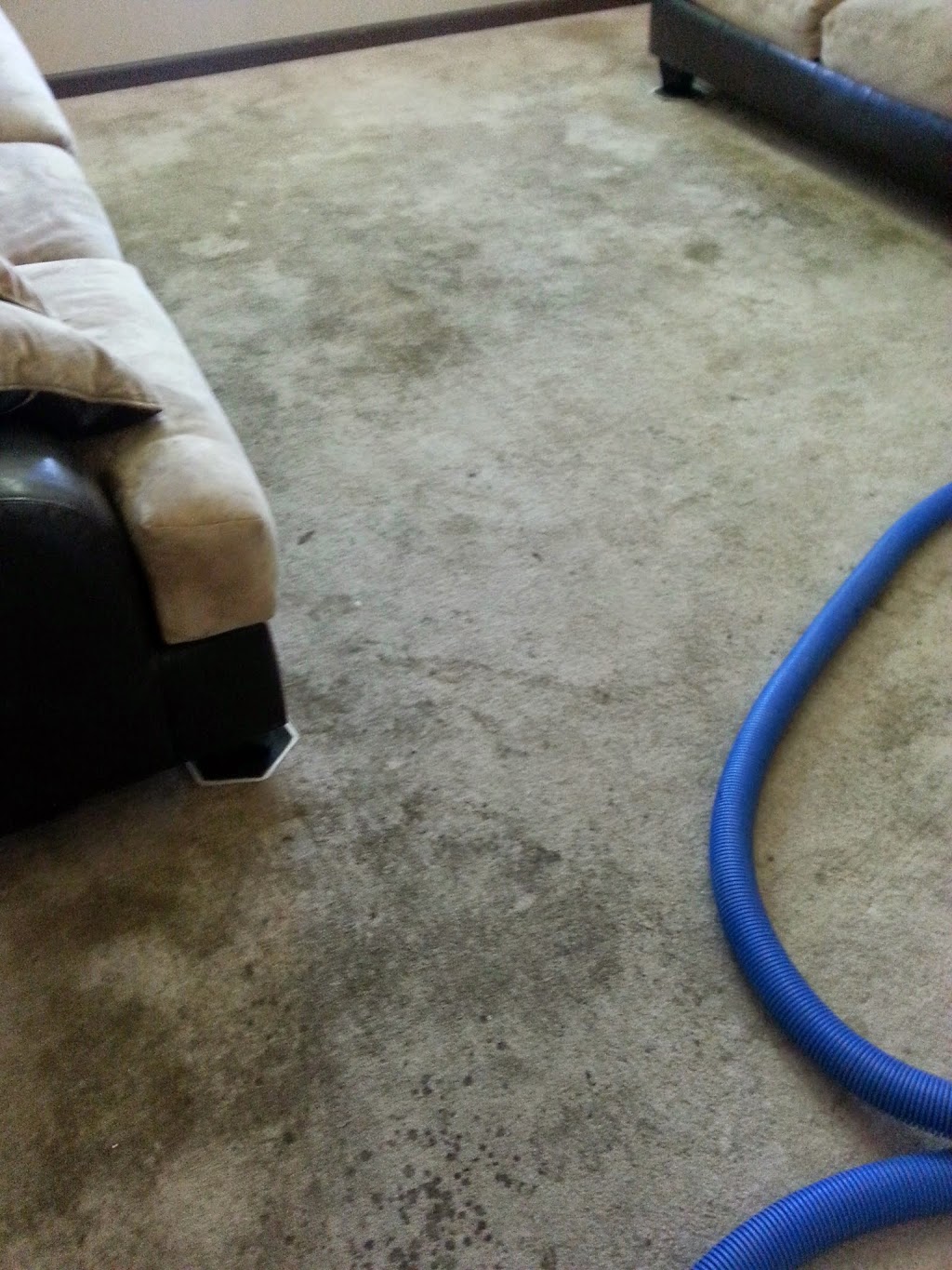 procare carpet and tile cleaning | 224 Eagle Ct, Modesto, CA 95350, USA | Phone: (209) 523-2273