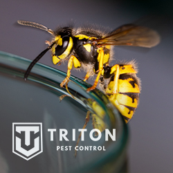 Triton Pest Control | 9720 W Peoria Ave Suite 118, Peoria, AZ 85345, USA | Phone: (602) 825-2317