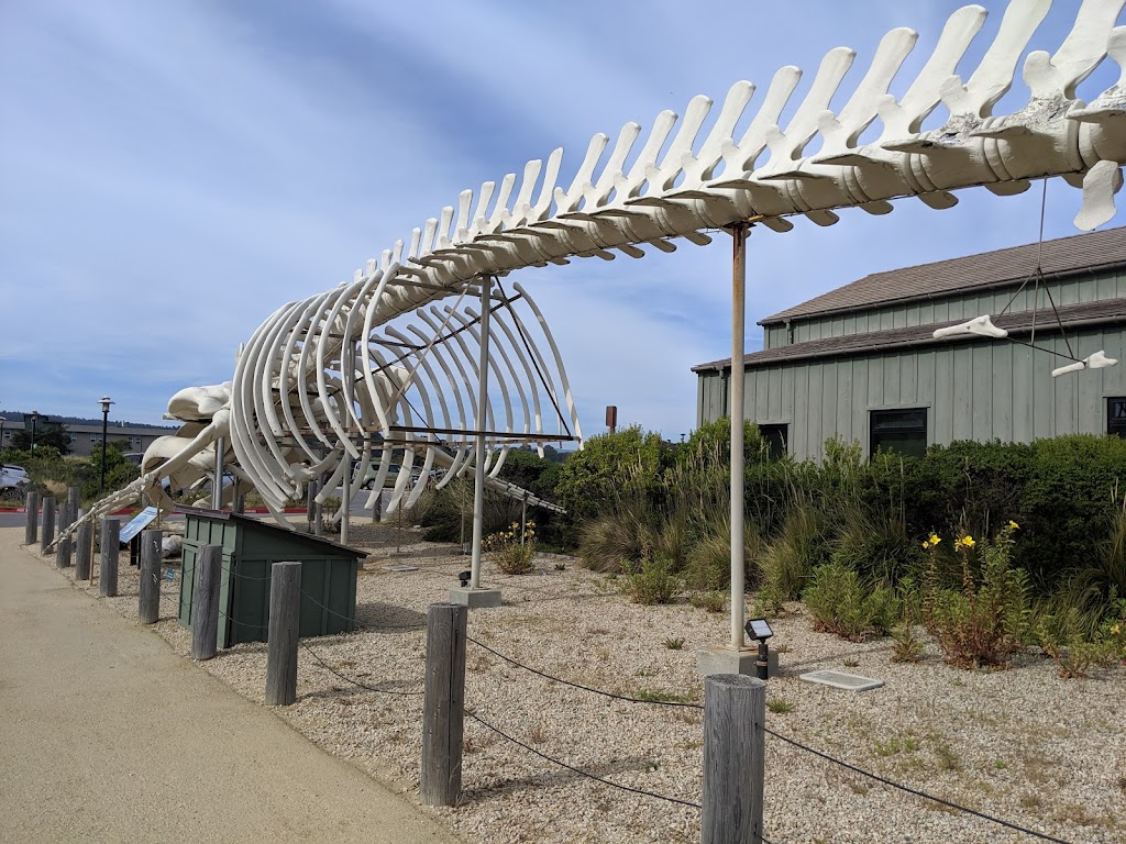 Seymour Marine Discovery Center | 100 McAllister Way, Santa Cruz, CA 95060, USA | Phone: (831) 459-3800