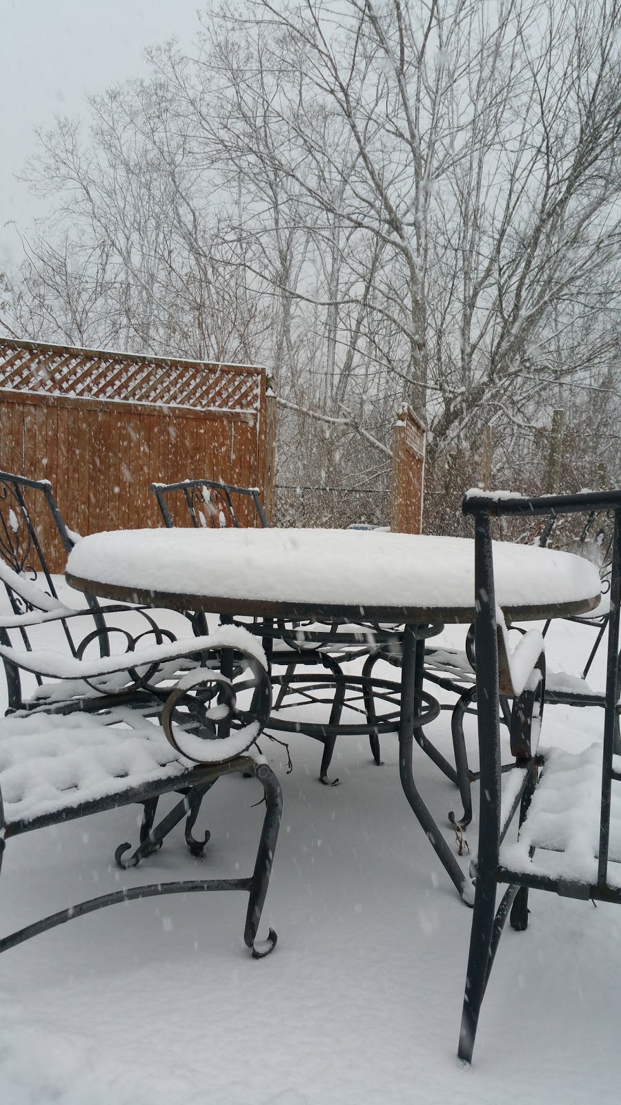 ASAP Door Co. Inc. | 1669-209 W 130th St, Hinckley, OH 44233, USA | Phone: (330) 220-6674