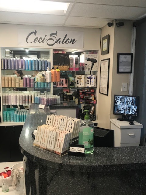 Ceci Salon | 4448 Forman Ave, Toluca Lake, CA 91602, USA | Phone: (818) 623-0253