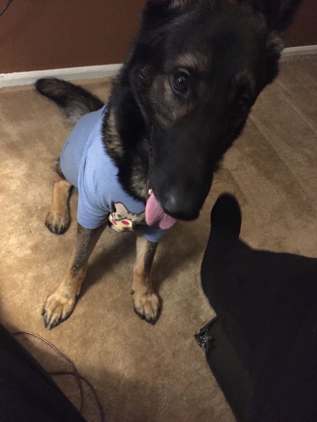 Clayton County Police Department | 7911 N McDonough St, Jonesboro, GA 30236, USA | Phone: (770) 477-3747