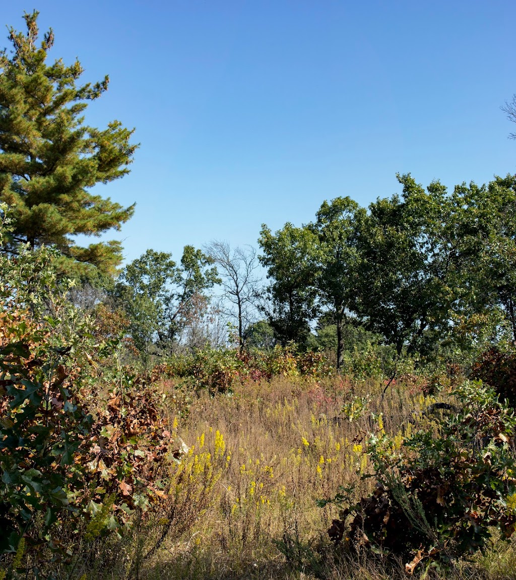 Mazomanie Oak Barrens State Natural Area | 9749 County Hwy Y, Mazomanie, WI 53560, USA | Phone: (608) 266-0394