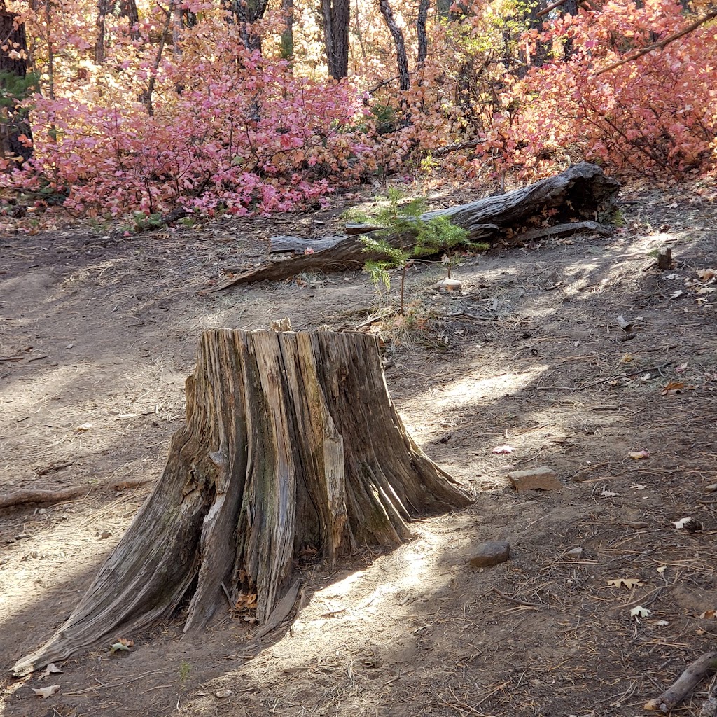 Fourth of July Trailhead | Torreen Tajique Loop Rd, Estancia, NM 87016, USA | Phone: (505) 346-3900