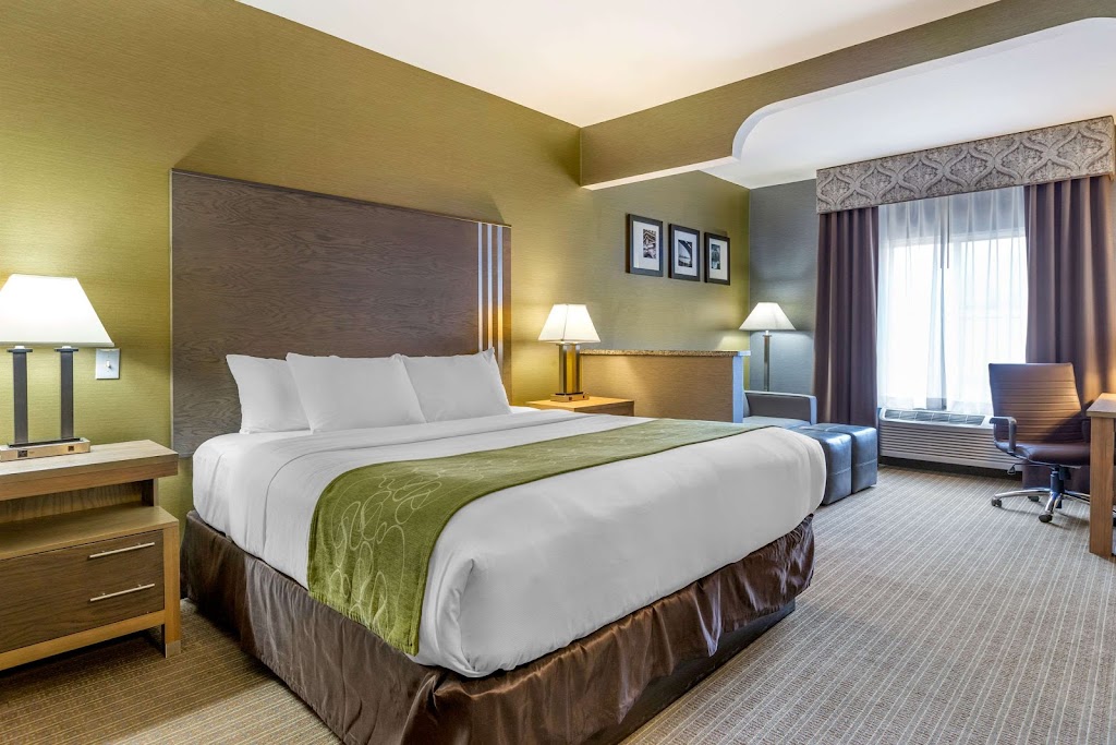 Comfort Suites | 18950 Northline Rd, Southgate, MI 48195, USA | Phone: (734) 720-0450