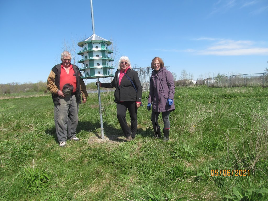 The Feed Store | 2564 County Rd 20 E, Harrow, ON N0R 1G0, Canada | Phone: (519) 738-2261