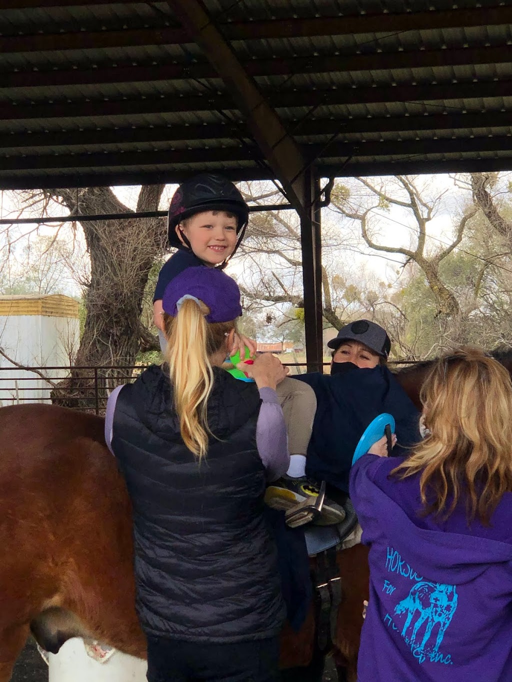 Horses For Healing | 13355 Bell Brook Dr, Auburn, CA 95602, USA | Phone: (530) 887-9573