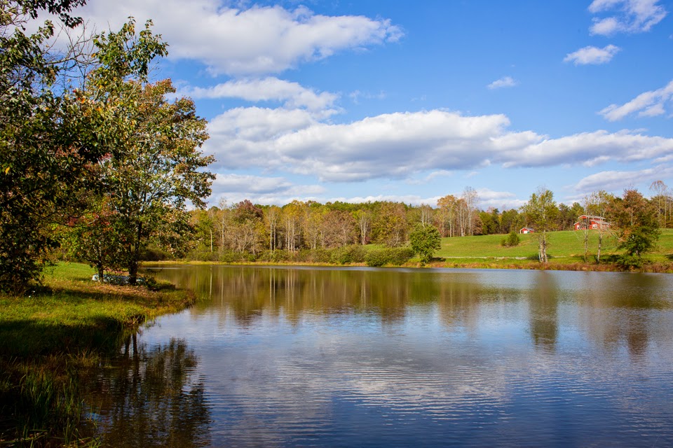 Lunas Trail Farm and Event Center | 1155 Wilson Farm Rd, Westfield, NC 27053, USA | Phone: (336) 351-2052