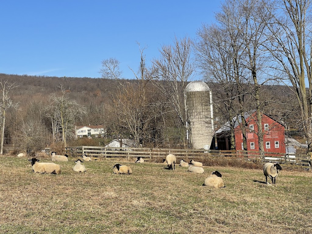Wormuth Farm | 577 County Road 519, Wantage, NJ 07461, USA | Phone: (347) 328-4764
