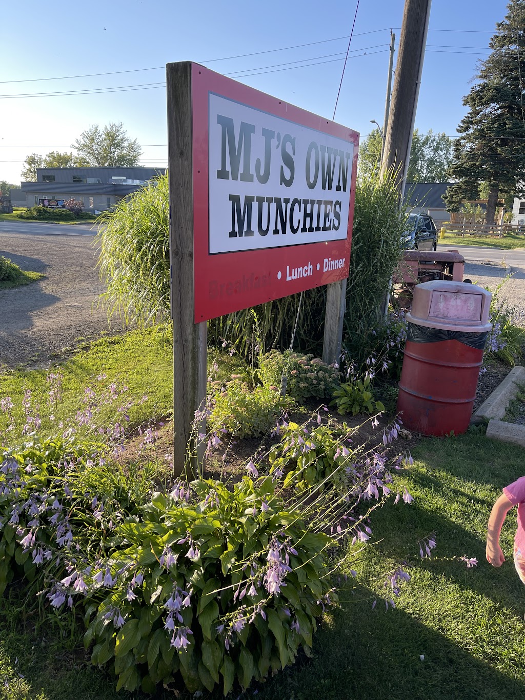 MJs Own Munchies | 406 Lakeshore Rd, St. Catharines, ON L2R 7K6, Canada | Phone: (905) 646-0031