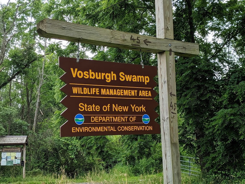 Vosburgh Swamp Wildlife Management Area | 4 Mile Point Rd, Coxsackie, NY 12051, USA | Phone: (845) 473-4440
