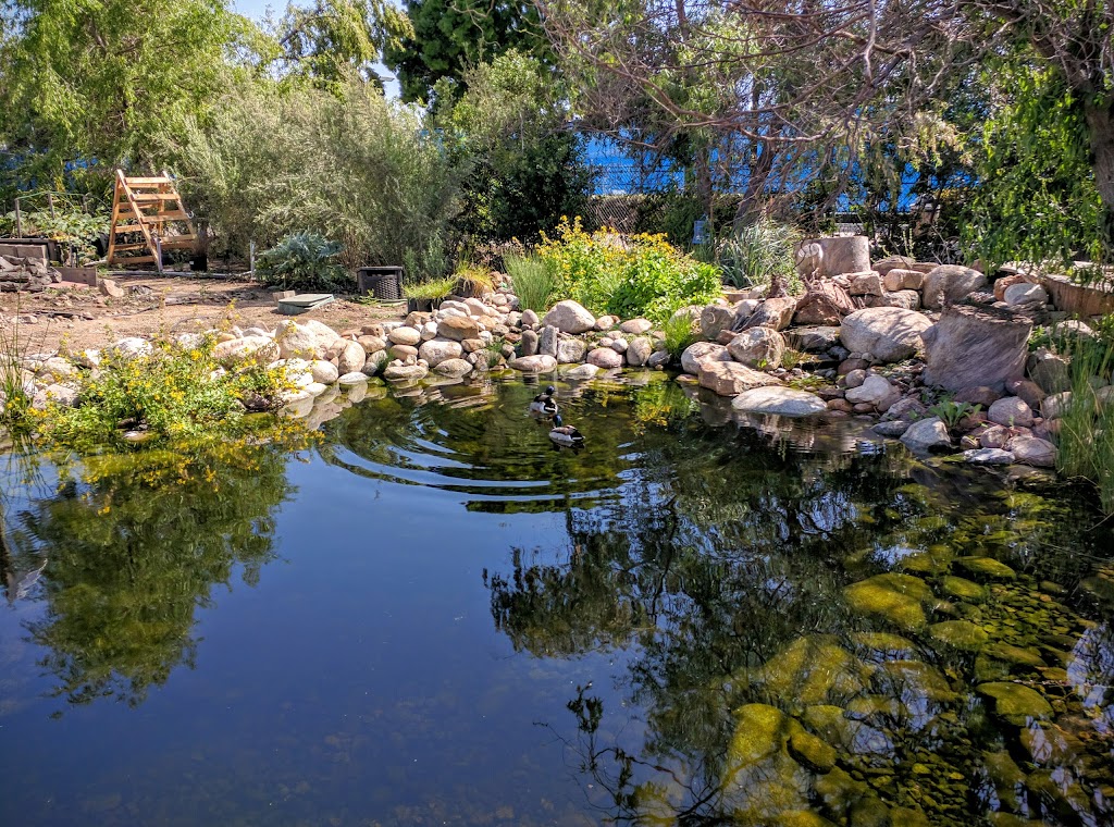 Irvine Valley College BEES Garden | 5500 Irvine Center Dr, Irvine, CA 92618, USA | Phone: (949) 451-5100