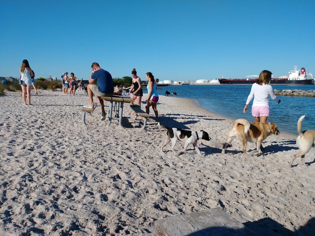 Davis Island Dog Beach | Davis Island Dog Beach, 864 Severn Ave, Tampa, FL 33606, USA | Phone: (813) 274-8615