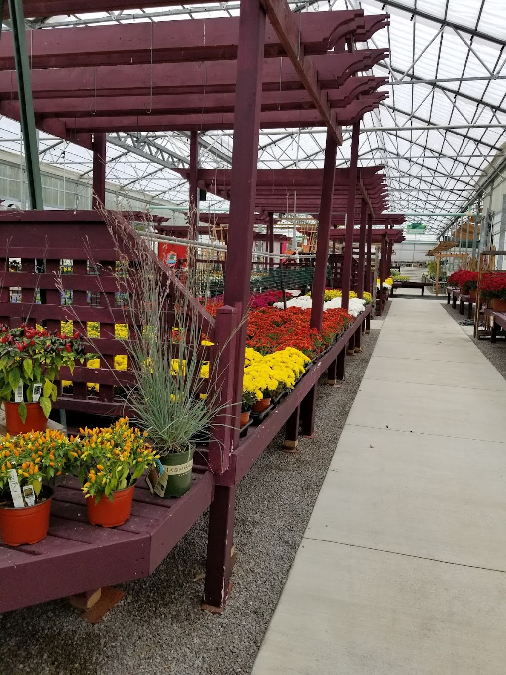 Wallitsch Garden Center | 2608 Hikes Ln, Louisville, KY 40218, USA | Phone: (502) 454-3553