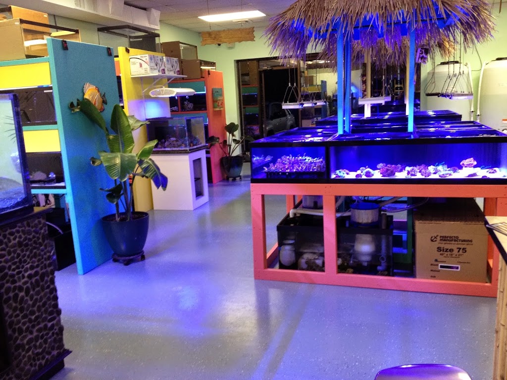 Tiki Corals | 10211 Staples Mill Rd, Glen Allen, VA 23060, USA | Phone: (804) 562-6733