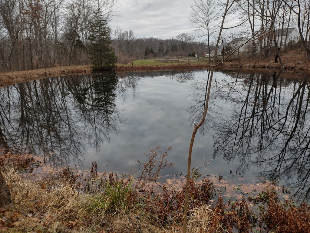 Unami Creek Trailhead | 1960 Kumry Rd, Quakertown, PA 18951, USA | Phone: (215) 536-2090