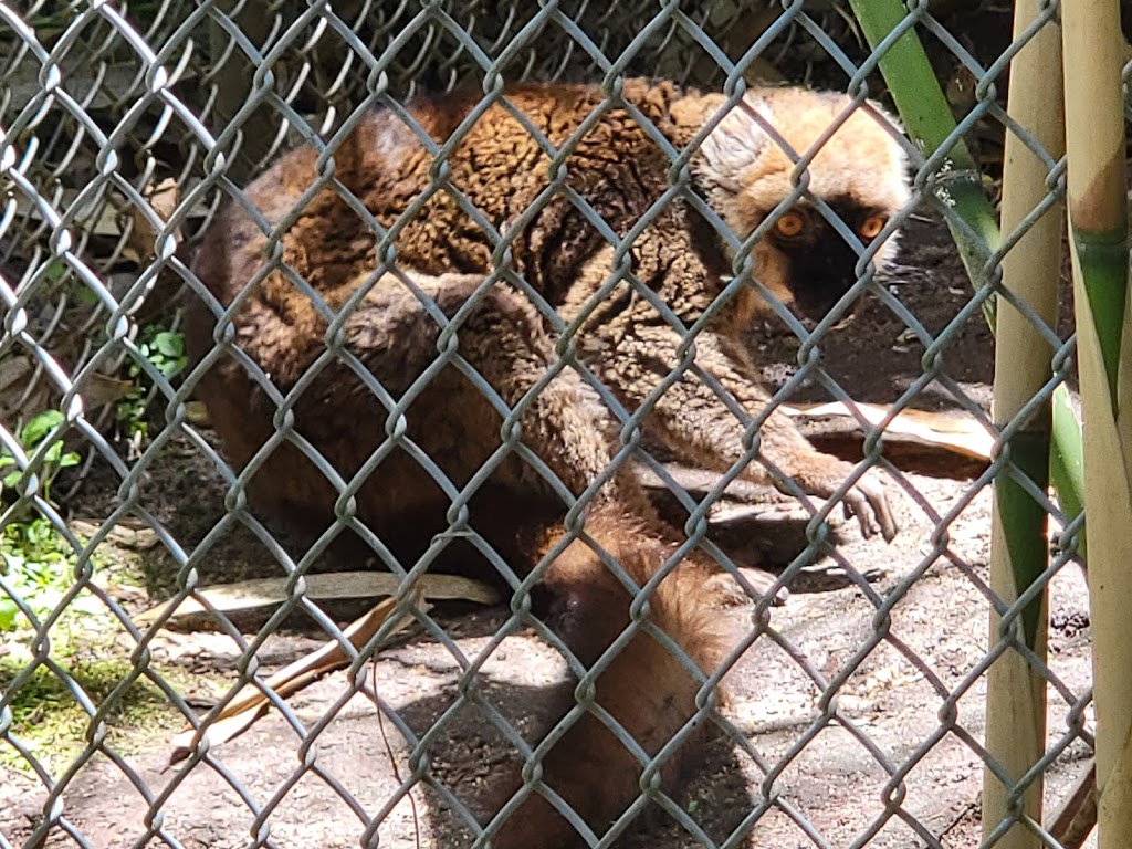 Animal Ed.ventures Sanctuary: Earth-Speak Park | 1489 Live Oak Rd, Coats, NC 27521 | Phone: (910) 897-1555