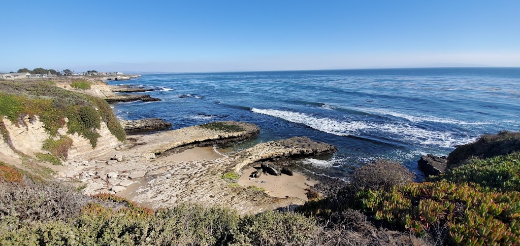 Joseph M. Long Marine Laboratory | 115 McAllister Way, Santa Cruz, CA 95060 | Phone: (831) 459-2883