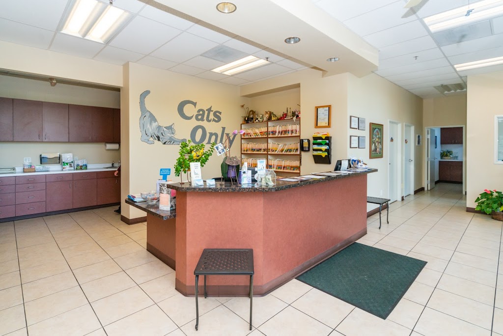 Cats Only Veterinary Hospital | 1220 Sunset Blvd, Rocklin, CA 95765, USA | Phone: (916) 435-9300