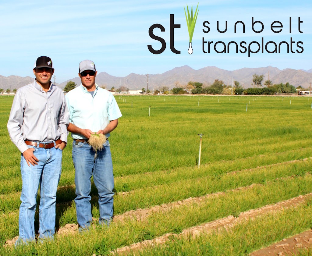 Sunbelt Transplants Inc | 3001 S Verrado Way, Buckeye, AZ 85326, USA | Phone: (623) 386-2964