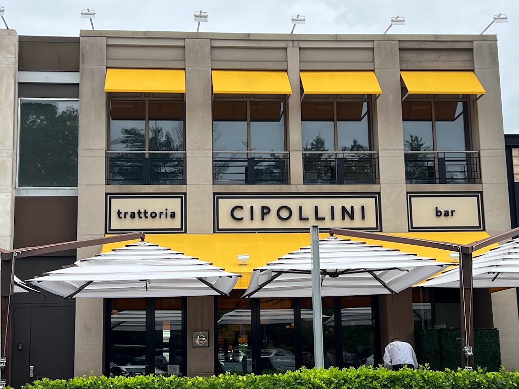 Cipollini | 2110C Northern Blvd, Manhasset, NY 11030, USA | Phone: (516) 627-7172