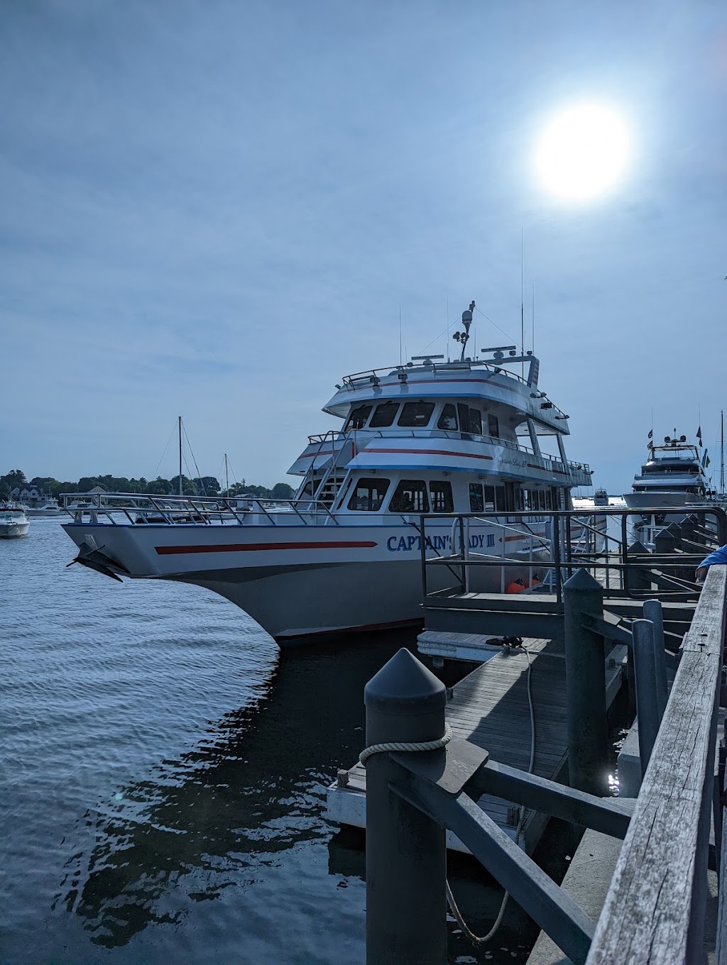 Newburyport Whale Watch | 54 Merrimac St, Newburyport, MA 01950, USA | Phone: (800) 848-1111