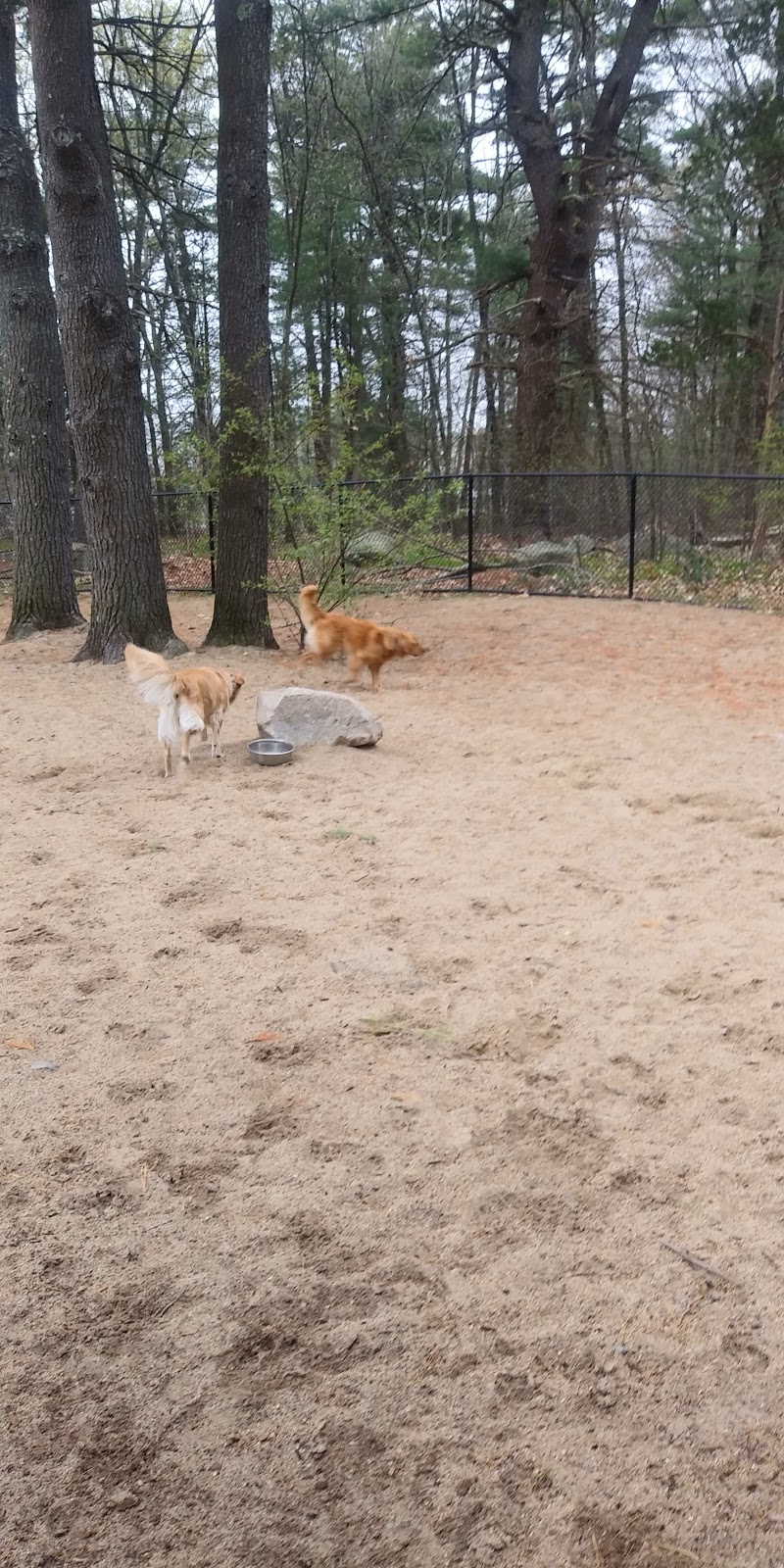 Wilmington Dog Park | 823 Main St, Wilmington, MA 01887, USA | Phone: (781) 897-5805