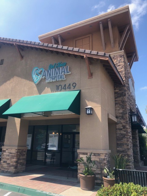 Del Norte Animal Hospital | 10449 Reserve Dr #140, San Diego, CA 92127, USA | Phone: (858) 524-1146