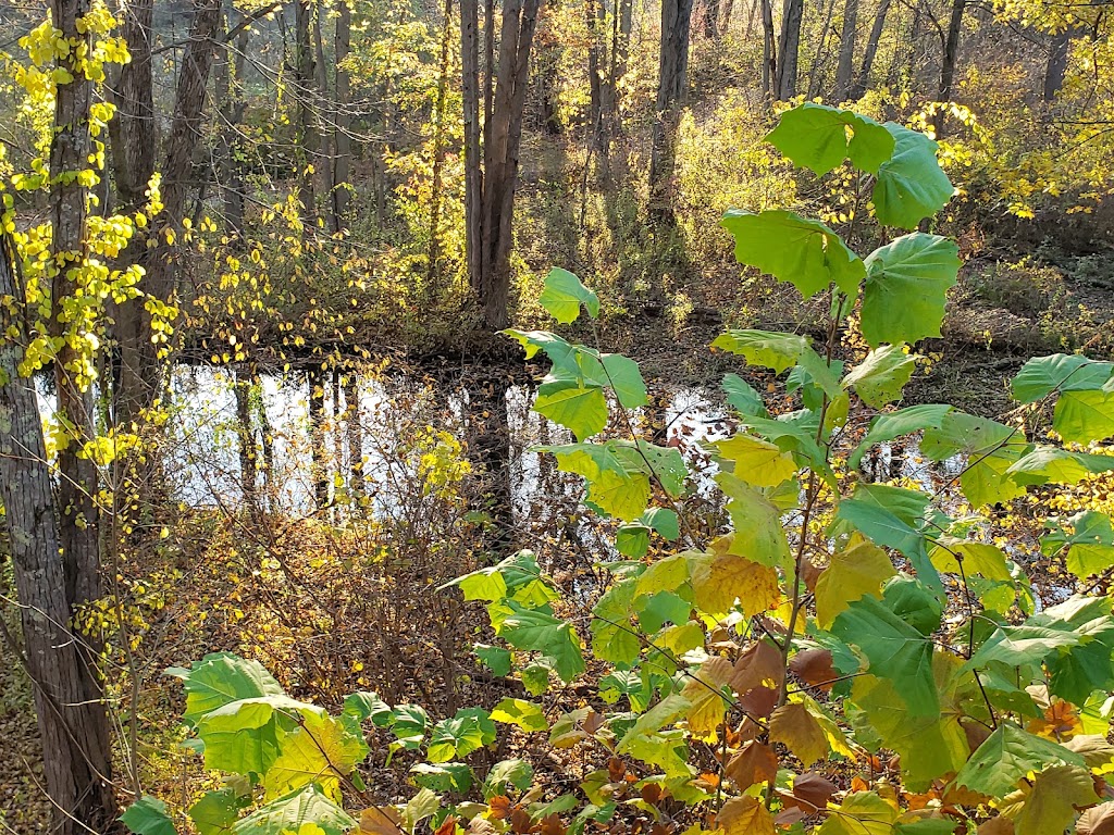 Stony Creek Metropark Nature Center | 4300 Main Park Road, Shelby Township, MI 48316, USA | Phone: (586) 781-4242