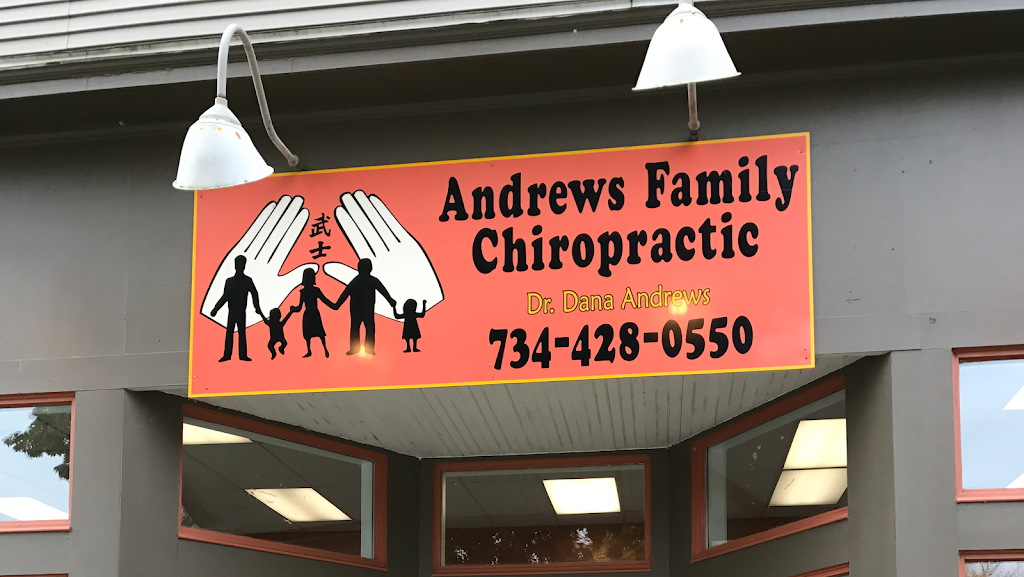 Andrews Family Chiropractic | 101 W Main St, Manchester, MI 48158 | Phone: (734) 428-0550