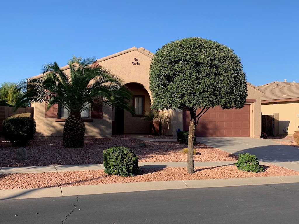 First Option Landscaping | 14710 N 183rd Ln, Surprise, AZ 85388, USA | Phone: (623) 251-7737