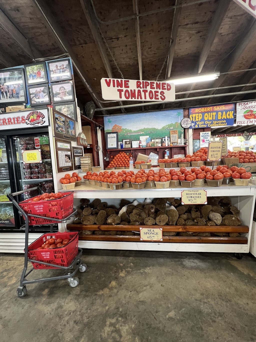 Robert Is Here Fruit Stand | 19200 SW 344th St, Homestead, FL 33034, USA | Phone: (305) 246-1592