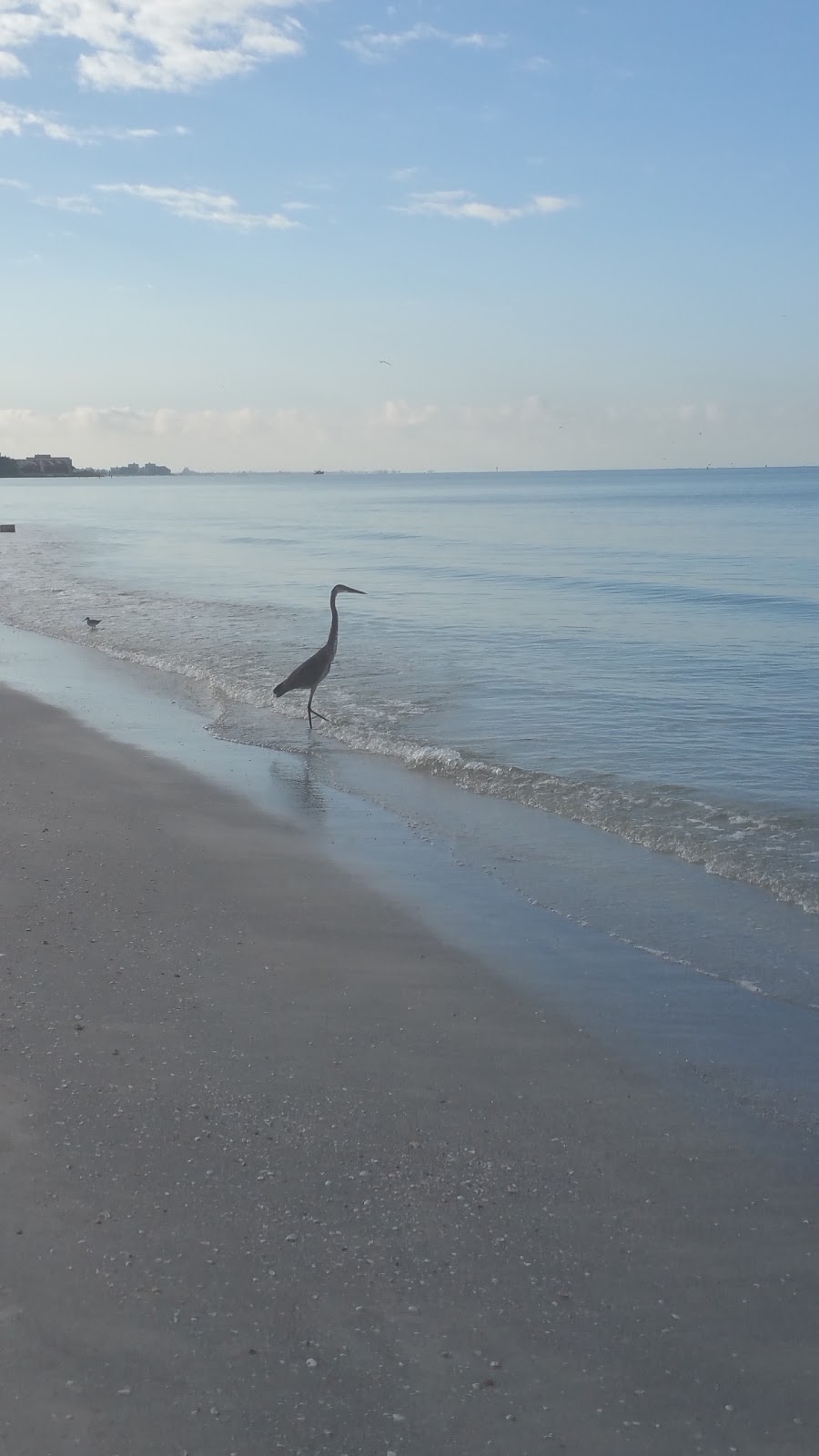 Madeira Beach Condo Daily Rental | 14001 Gulf Blvd APT 412, Madeira Beach, FL 33708, USA | Phone: (815) 342-3824