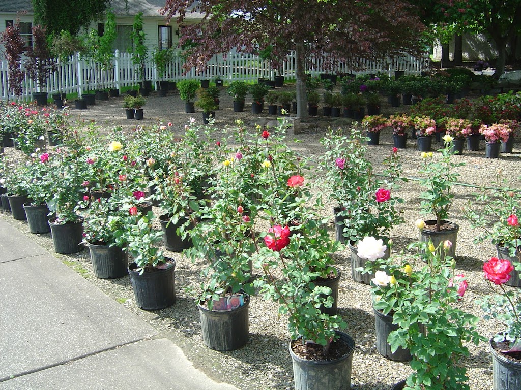 Dayton Flower & Garden Center | 4474 S Cleveland Massillon Rd, Norton, OH 44203, USA | Phone: (330) 825-4176