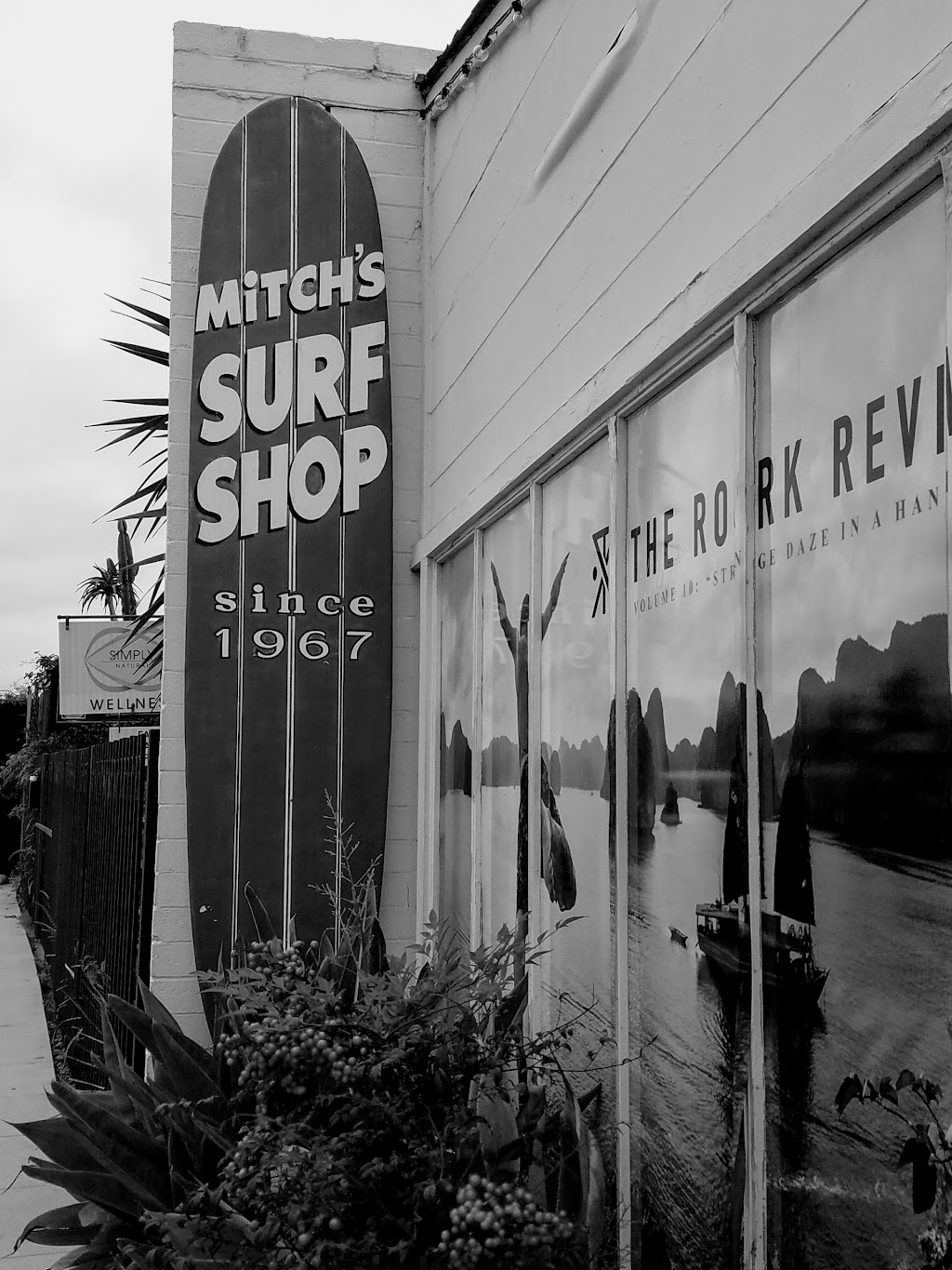 Mitchs Surf Shop North | 363 Hwy 101, Solana Beach, CA 92075, USA | Phone: (858) 481-1354