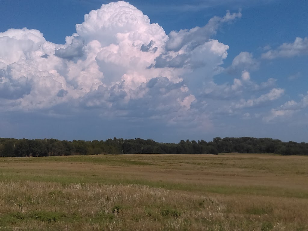 Maricara Natural Area | 10608 SW 30 Ave, Spivey, KS 67142, USA | Phone: (503) 823-7529