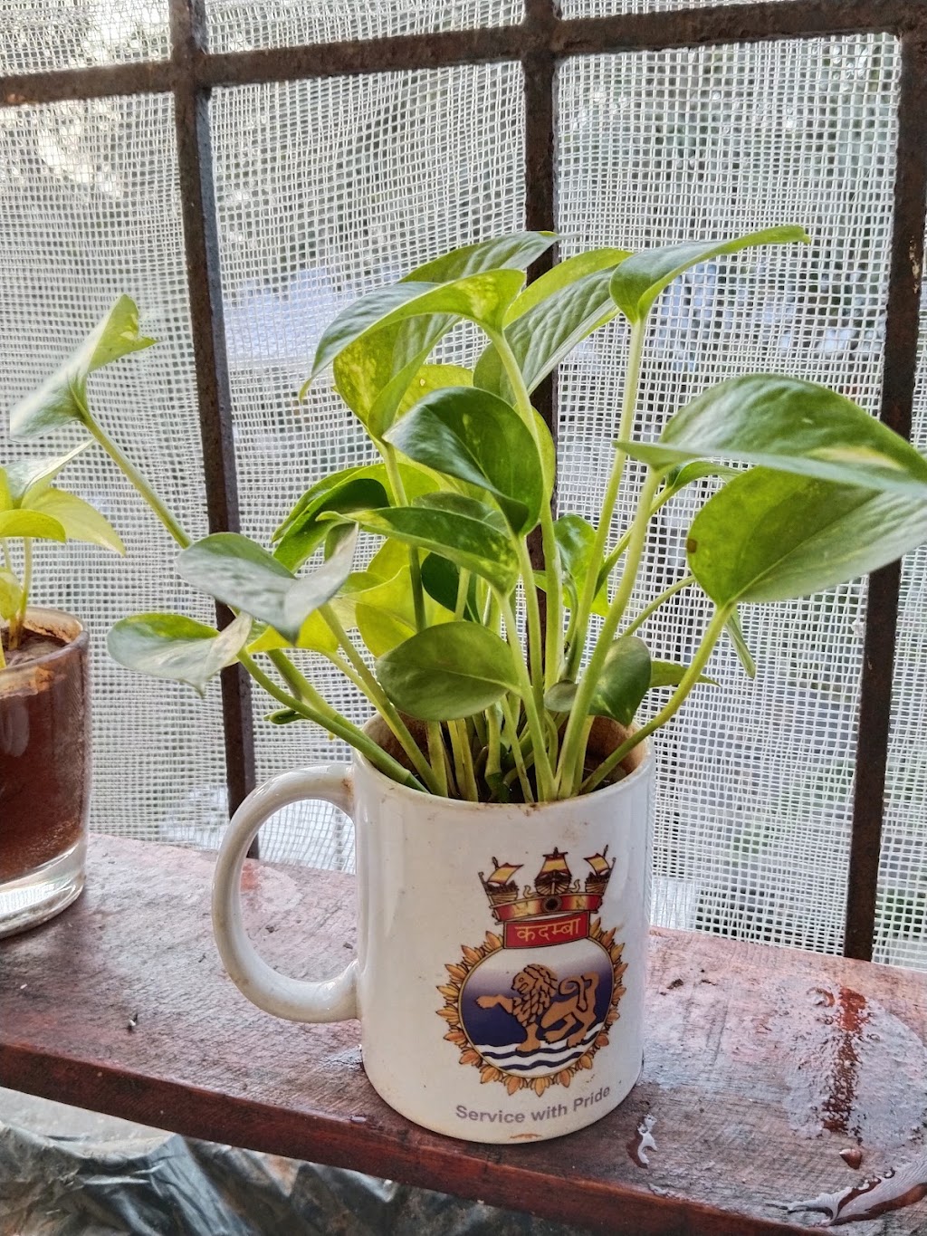 I Forgot Store | 29925 Sunnyslope Rd, Piedra, CA 93649, USA | Phone: (559) 787-3689 I Forgot Store | 29925 Sunnyslope Rd, Piedra, CA 93649, USA | Phone: (559) 787-3689