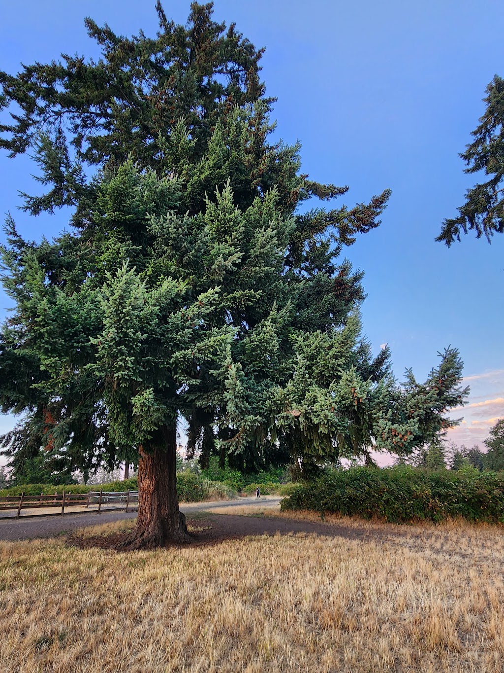 Ft. Steilacoom Park | 8714 87th Ave SW, Lakewood, WA 98498, USA | Phone: (253) 798-6595