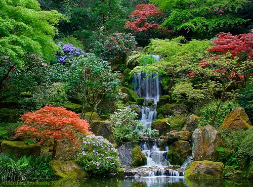 Portland Japanese Garden | 611 SW Kingston Ave, Portland, OR 97205, USA | Phone: (503) 223-1321