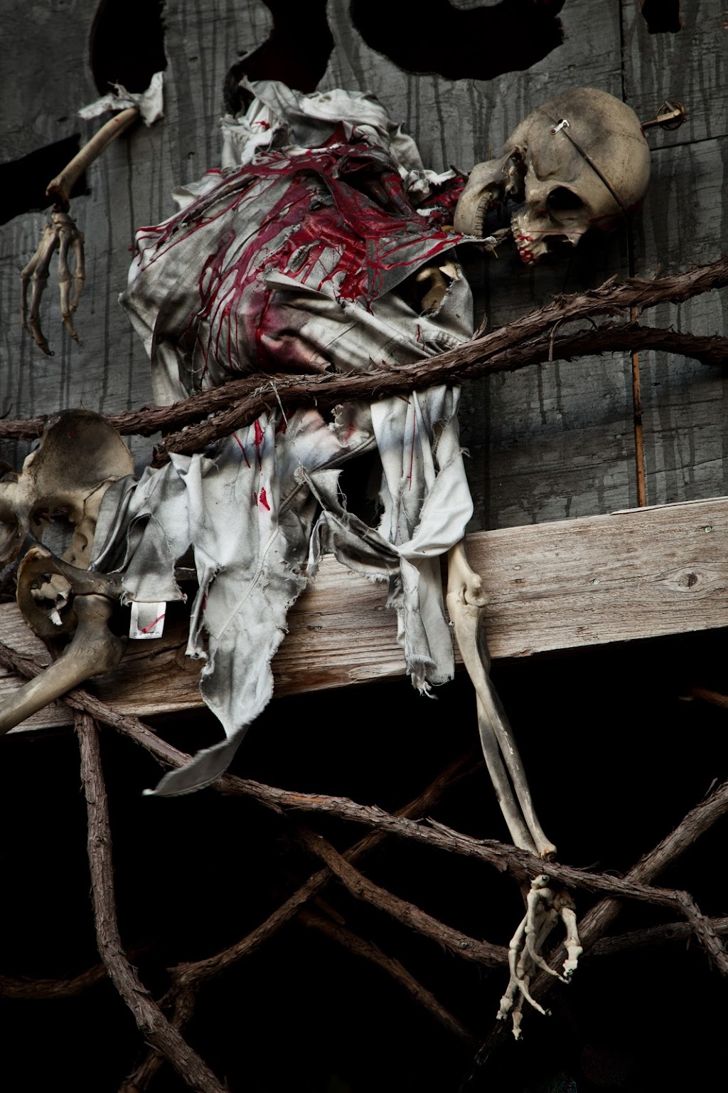 The Abandoned Hayride | 7525 US-212, Chaska, MN 55318, USA | Phone: (888) 246-6783