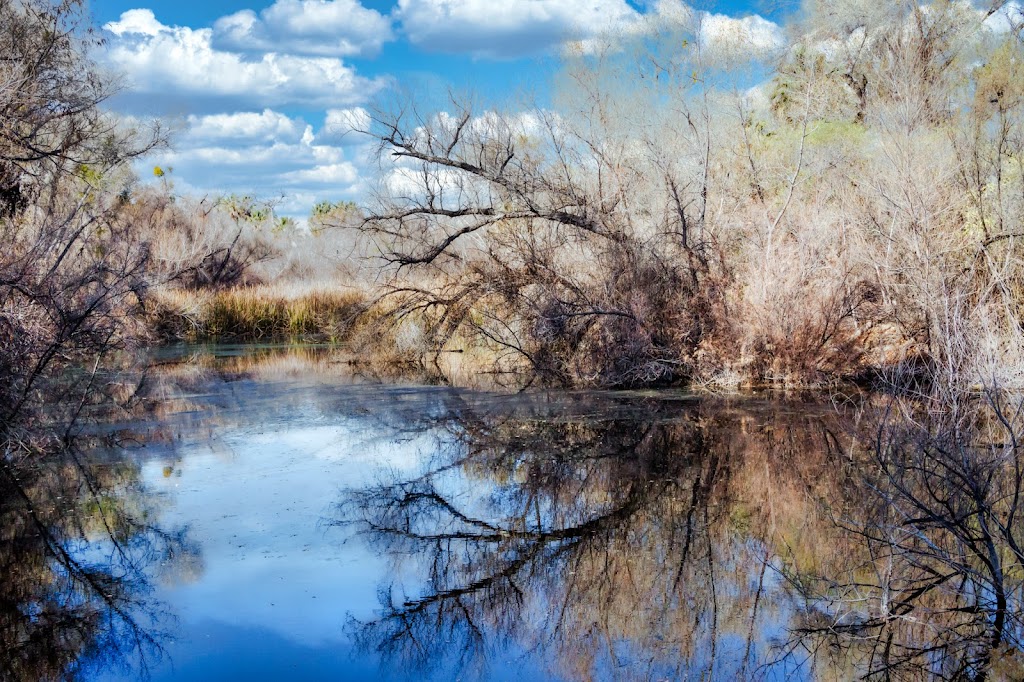 Hassayampa River Preserve Nature Center | 49614 U.S. Hwy 60 89, Wickenburg, AZ 85390, USA | Phone: (928) 684-2772