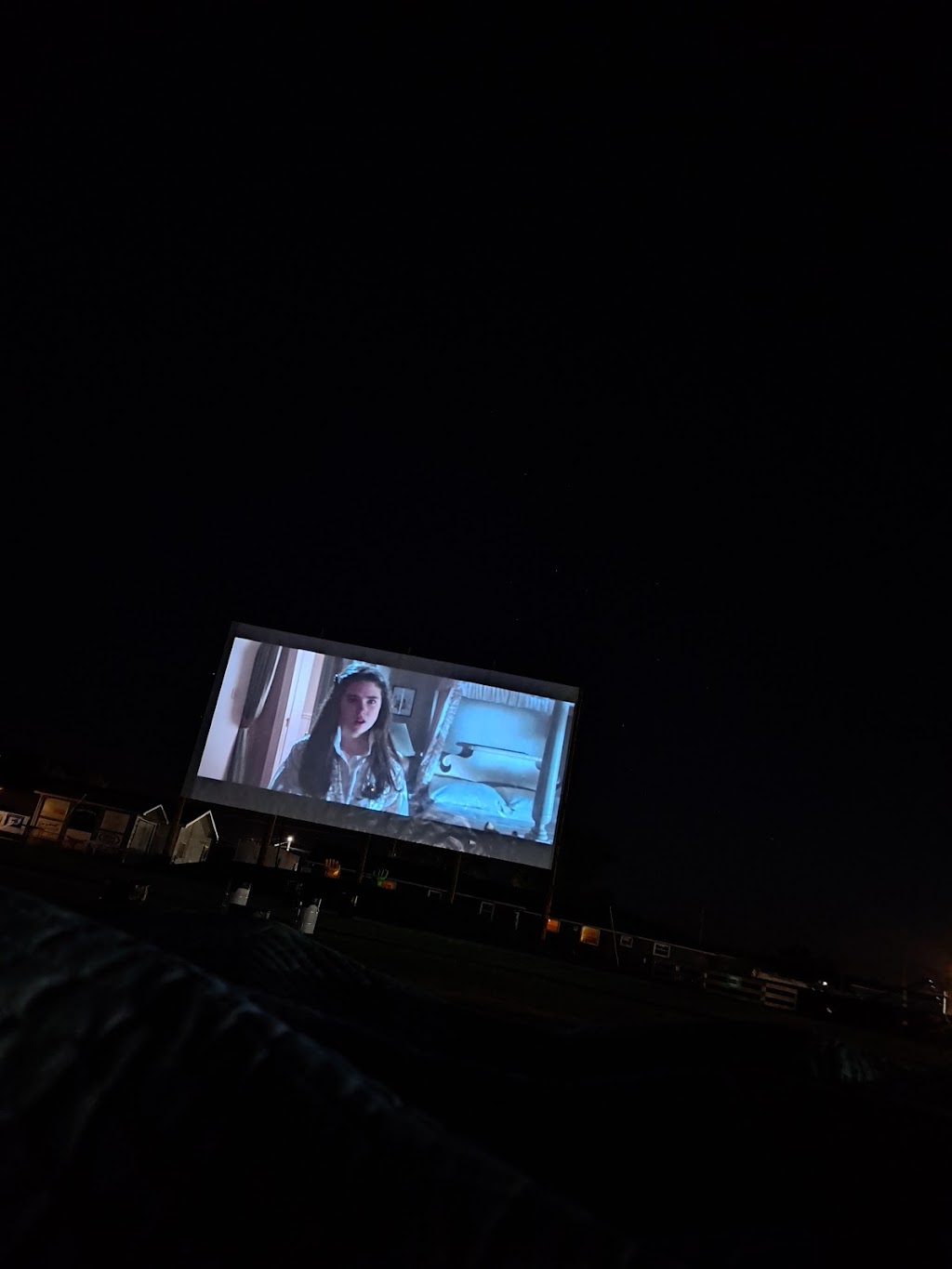 Fleos Flicks Drive-In Theater | 233 E Morrison St, Edgerton, OH 43517, USA | Phone: (419) 212-4891