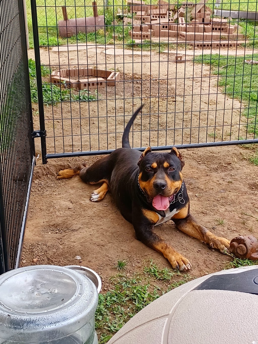 CareVet of Honor Heights | 4011 W Okmulgee Ave, Muskogee, OK 74401, USA | Phone: (918) 682-6652