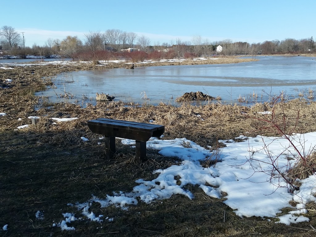 E. C. Brown Conservation Area, Wetland and Boat Launch | 536 River Rd, Fenwick, ON L0S 1C0, Canada | Phone: (905) 788-3135