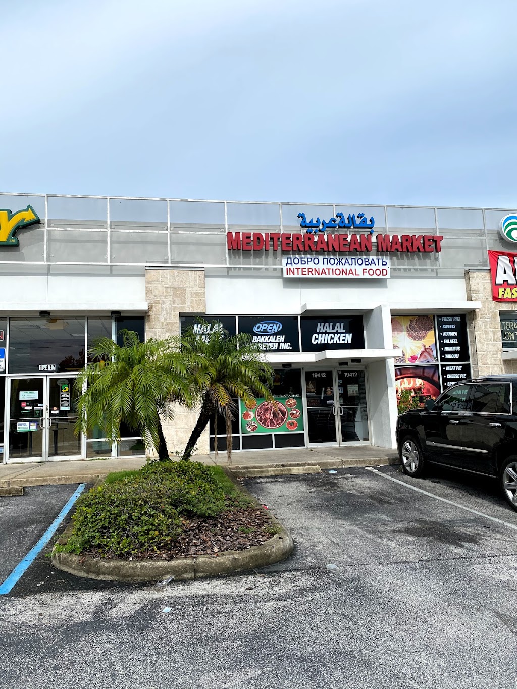 Mediterranean Market | 19412 Bruce B Downs Blvd, Tampa, FL 33647, USA | Phone: (813) 388-2903