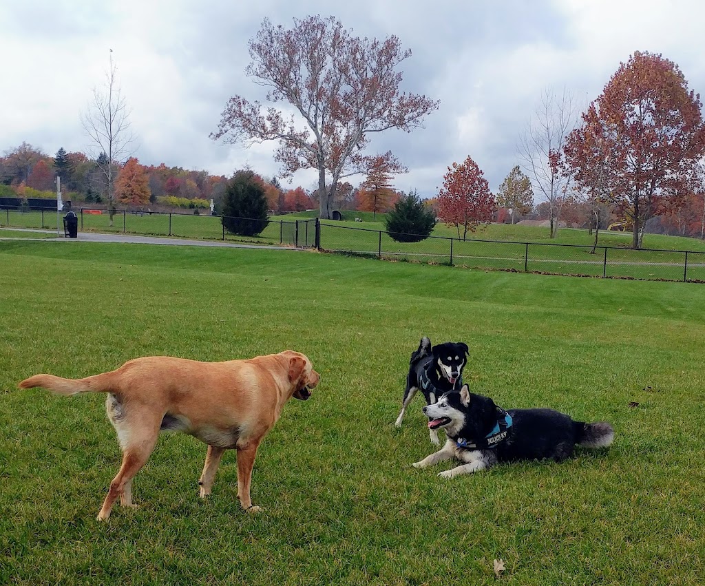 Bark Park | Marysville, OH 43040, USA | Phone: (937) 645-7350