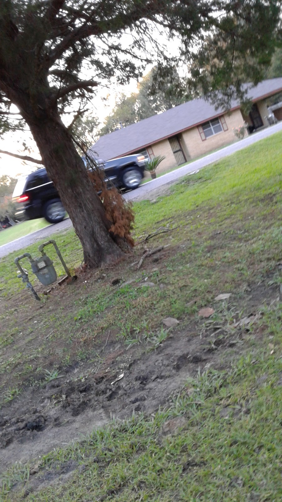 Alsen Park | 601 Old Rafe Mayer Rd, Baton Rouge, LA 70807, USA | Phone: (225) 774-8078