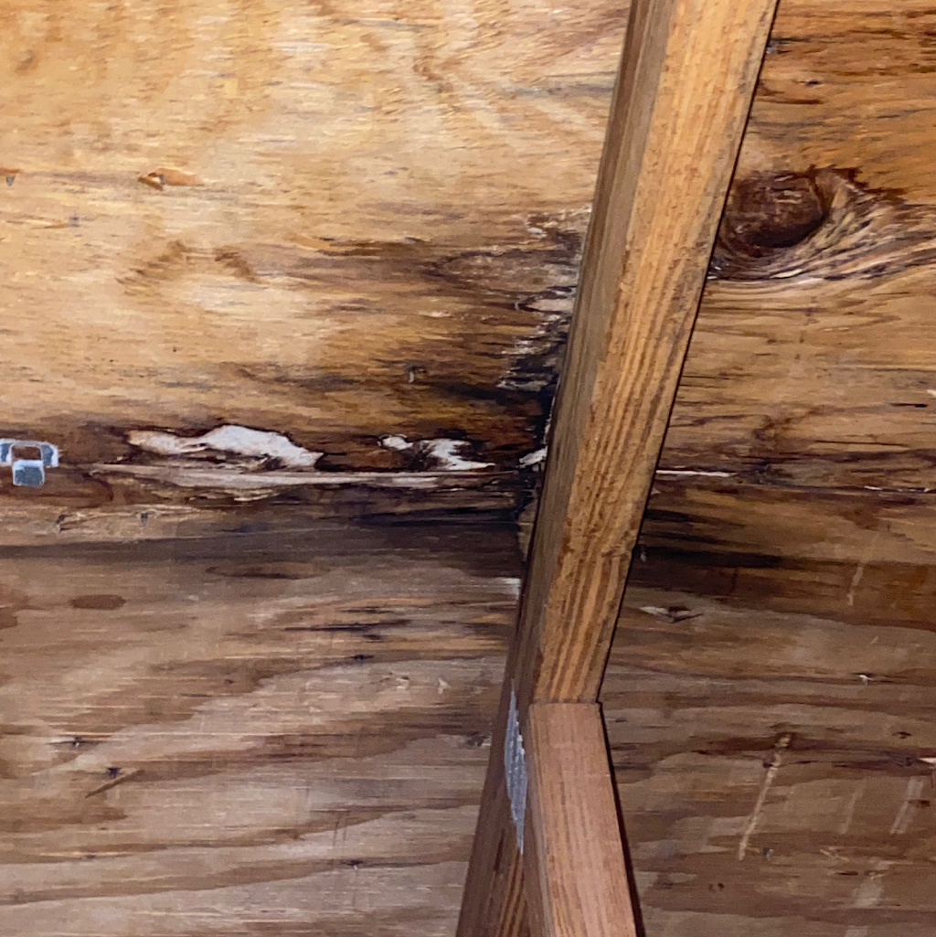 Apex Summit Roofing LLC | 9076 SW 21st Ct B, Boca Raton, FL 33428, USA | Phone: (561) 909-8954