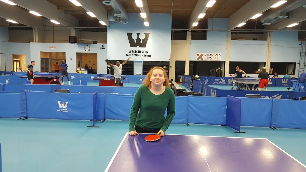 Westchester Table Tennis Center | 175 Tompkins Ave, Pleasantville, NY 10570, USA | Phone: (914) 741-0738